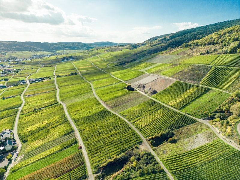 Mosel-Steillagen bei Bremm — Weinberge des Weingut Sonnenstein